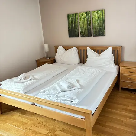 Steinadler Schaidberg Fl - Skiing In דירה